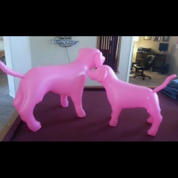 ISO inflatables - Picture 6 of 8